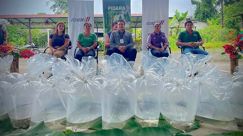 Se entregaron 19.200 alevines a 44 productores de la parroquia Misahuallí